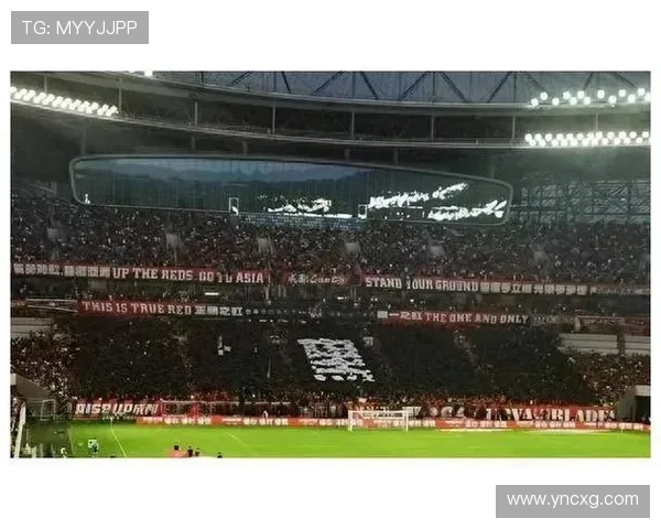 成都刀锋球迷会宣布对球队失望后两场比赛不携装备入场